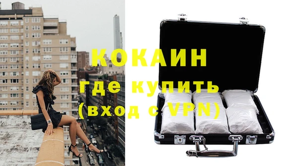 сатива Тобольск