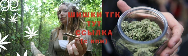 сатива Тобольск