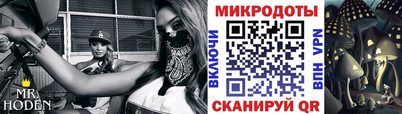 дарнет шоп  Невель  MEGA как зайти  Галлюциногенные грибы прущие грибы 